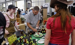 Farmers Market