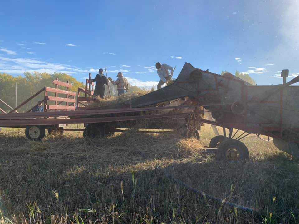 Stony Plain and Parkland Pioneer Museum Harvest Festival