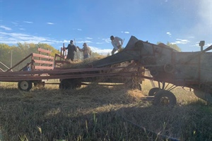 Stony Plain and Parkland Pioneer Museum Harvest Festival