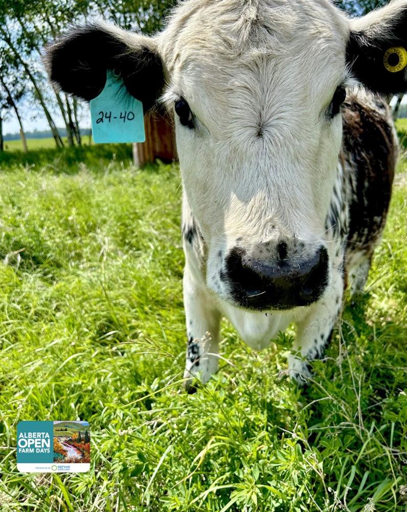 Open Farm Days