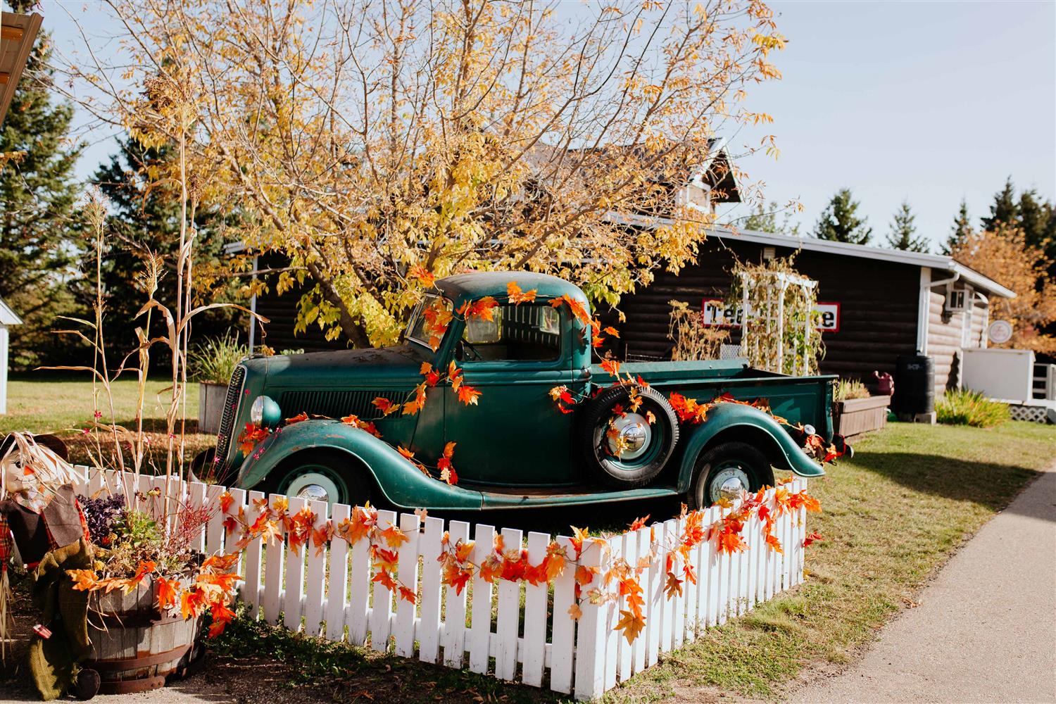Harvest Festival