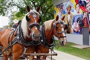 Horse & Wagon Mural Tours
