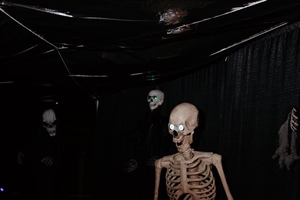 Town of Stony Plain presents Graveyard Groove